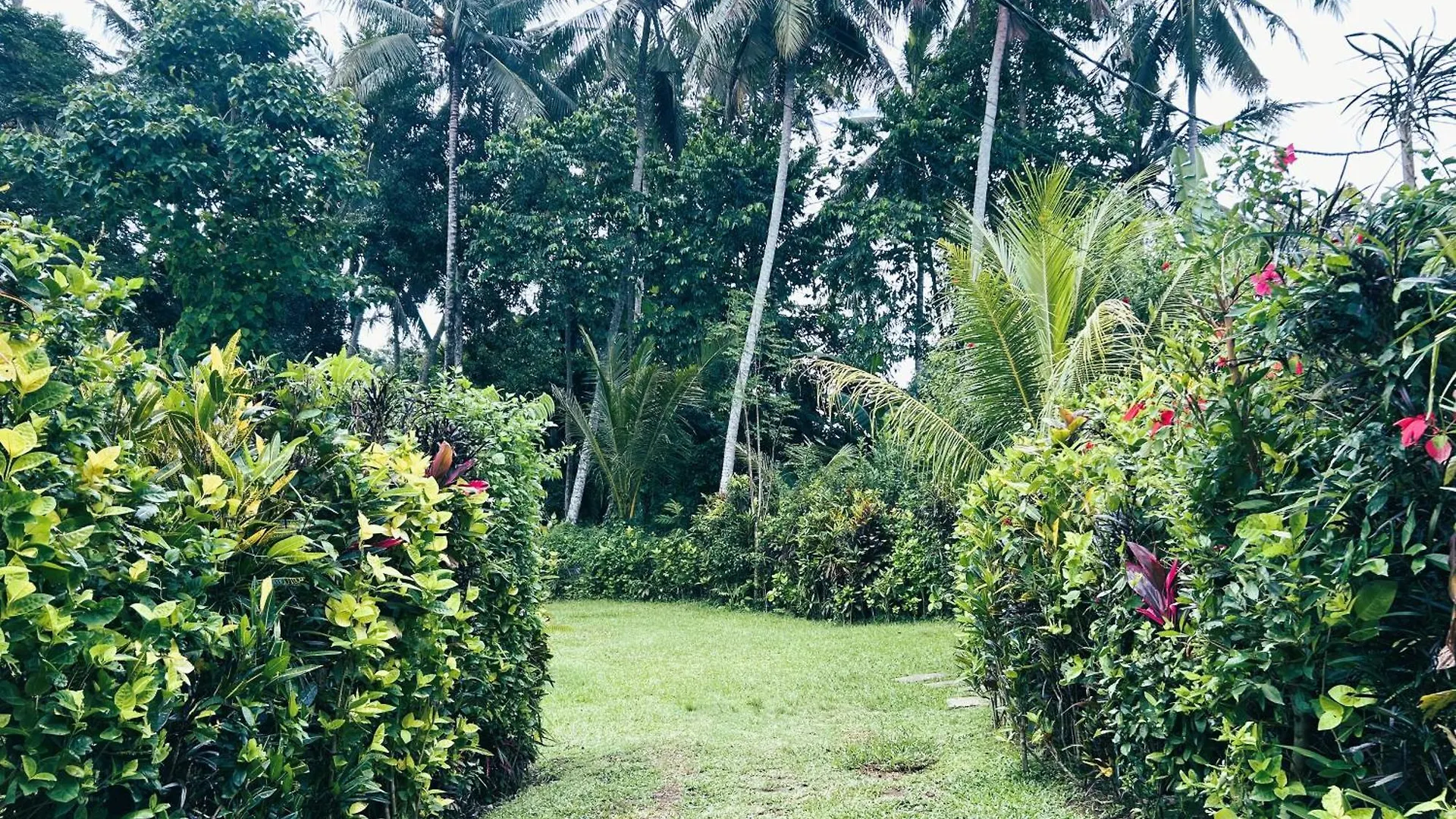 Maison d'hôtes Ambary Ubud - Villas With Workspaces, Ideal For Groups