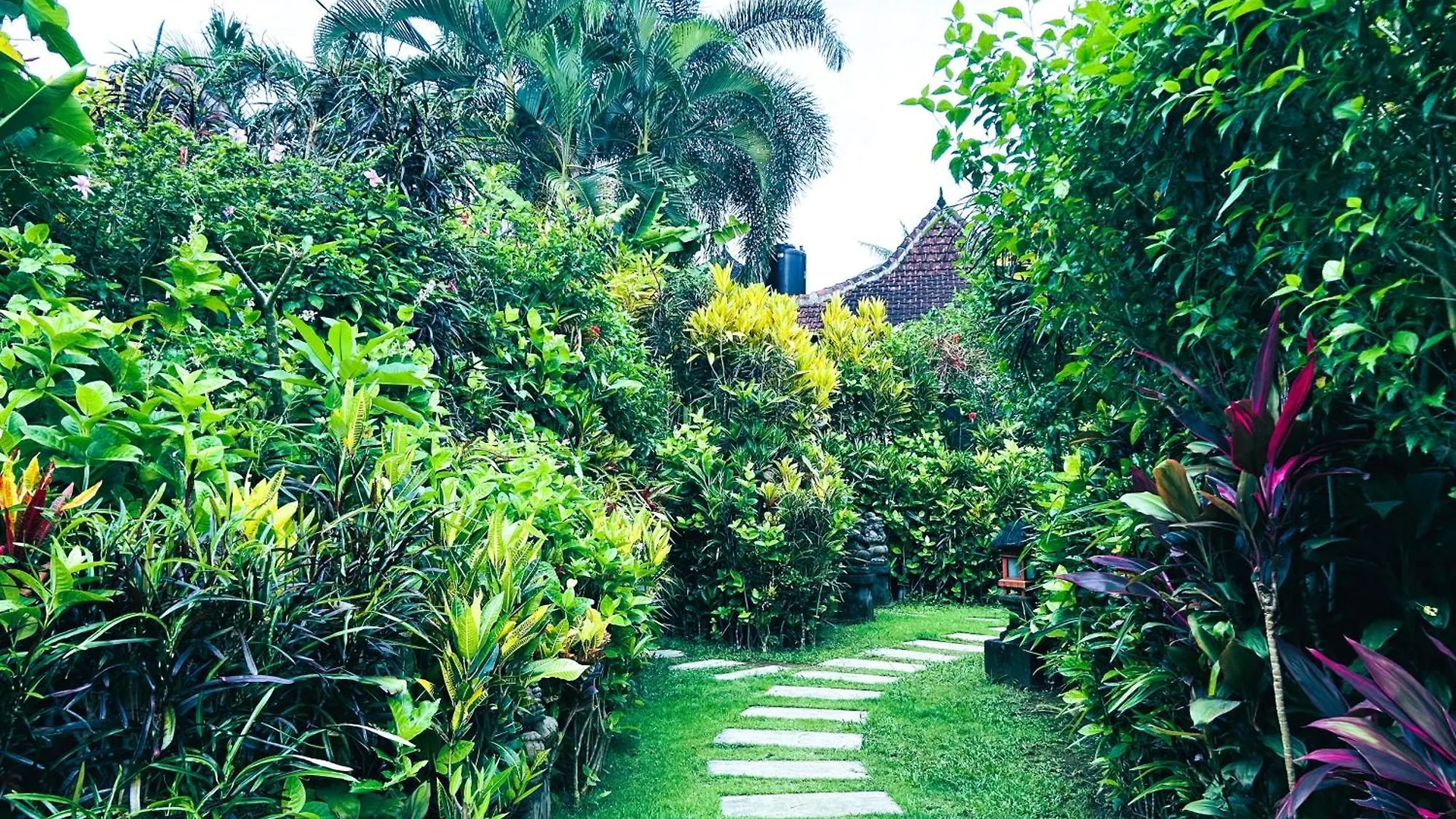 Ambary Ubud - Villas With Workspaces, Ideal For Groups 0*,
